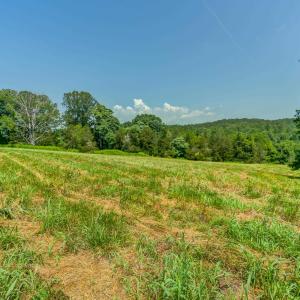 Photo #28 of Lot 23 SUNSET RIDGE, RUCKERSVILLE, VA 10.0 acres
