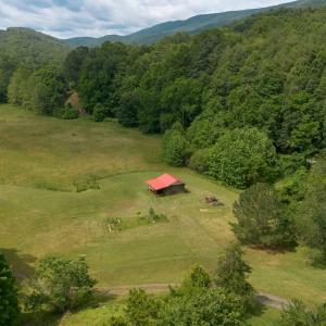 Photo #21 of 7304 DRY RUN RD, BURNSVILLE, VA 79.8 acres