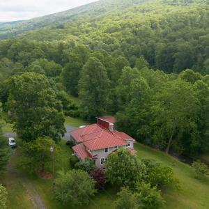 Photo #19 of 7304 DRY RUN RD, BURNSVILLE, VA 79.8 acres