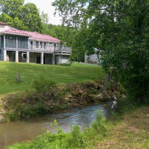 Photo #23 of 7304 DRY RUN RD, BURNSVILLE, VA 79.8 acres