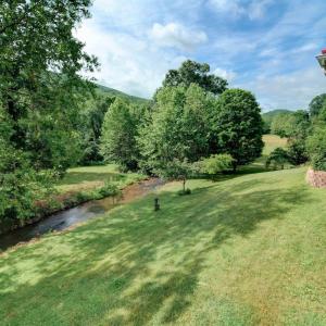 Photo #9 of 7304 DRY RUN RD, BURNSVILLE, VA 79.8 acres