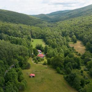 Photo #1 of 7304 DRY RUN RD, BURNSVILLE, VA 79.8 acres