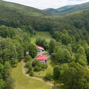 Photo #13 of 7304 DRY RUN RD, BURNSVILLE, VA 79.8 acres