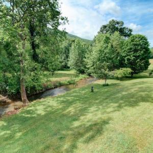 Photo #8 of 7304 DRY RUN RD, BURNSVILLE, VA 79.8 acres