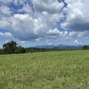 Photo #21 of TBD ROSELAND RD, ROSELAND, VA 5.2 acres