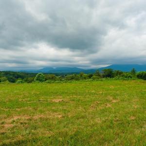 Photo #23 of TBD ROSELAND RD, ROSELAND, VA 5.2 acres