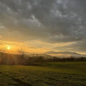 Photo #1 of TBD ROSELAND RD, ROSELAND, VA 5.2 acres