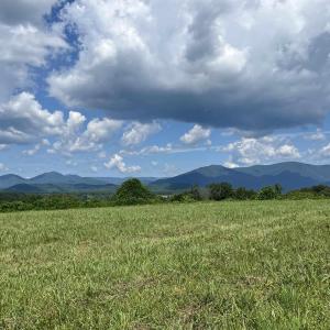 Photo #2 of TBD ROSELAND RD, ROSELAND, VA 5.2 acres