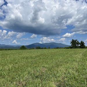 Photo #6 of TBD ROSELAND RD, ROSELAND, VA 5.2 acres