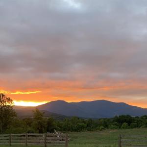 Photo #29 of TBD ROSELAND RD, ROSELAND, VA 5.2 acres