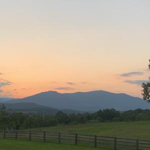 Photo #3 of TBD ROSELAND RD, ROSELAND, VA 5.2 acres