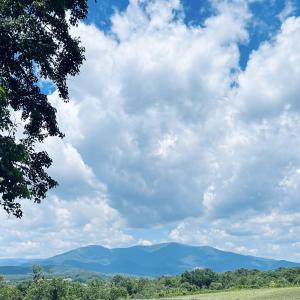 Photo #30 of TBD ROSELAND RD, ROSELAND, VA 5.2 acres