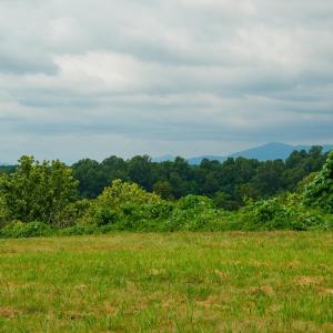 Photo #24 of TBD ROSELAND RD, ROSELAND, VA 5.2 acres