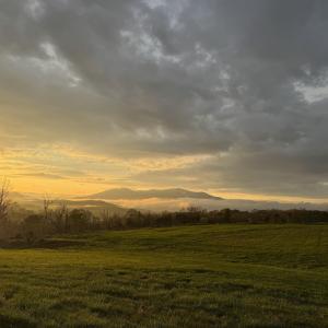 Photo #4 of TBD ROSELAND RD, ROSELAND, VA 5.2 acres