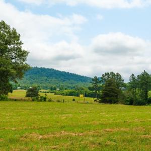 Photo #25 of TBD ROSELAND RD, ROSELAND, VA 5.2 acres