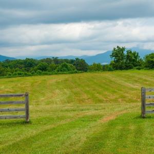 Photo #20 of TBD ROSELAND RD, ROSELAND, VA 5.2 acres