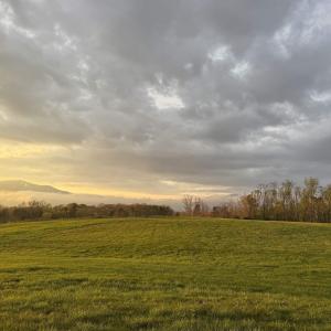 Photo #9 of TBD ROSELAND RD, ROSELAND, VA 5.2 acres