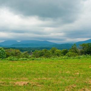 Photo #22 of TBD ROSELAND RD, ROSELAND, VA 5.2 acres