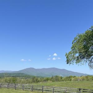 Photo #8 of TBD ROSELAND RD, ROSELAND, VA 5.2 acres