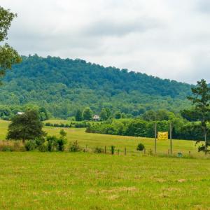 Photo #26 of TBD ROSELAND RD, ROSELAND, VA 5.2 acres