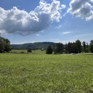 Photo #33 of TBD ROSELAND RD, ROSELAND, VA 5.2 acres