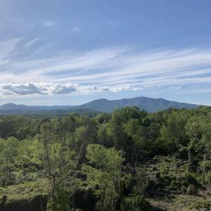 Photo #28 of TBD ROSELAND RD, ROSELAND, VA 5.2 acres