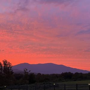 Photo #5 of TBD ROSELAND RD, ROSELAND, VA 5.2 acres