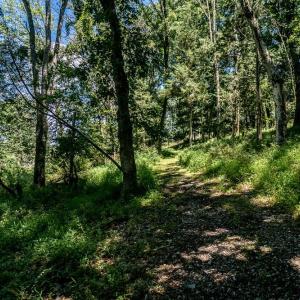 Photo #6 of RODEO DR, ROCKINGHAM, VA 9.3 acres