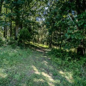 Photo #4 of RODEO DR, ROCKINGHAM, VA 9.3 acres