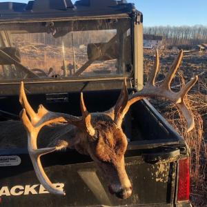 Photo #8 of PASSANTE SR LN, GORDONSVILLE, VA 111.6 acres