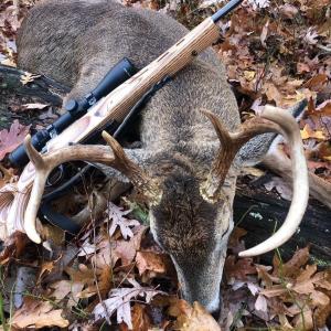 Photo #7 of PASSANTE SR LN, GORDONSVILLE, VA 111.6 acres