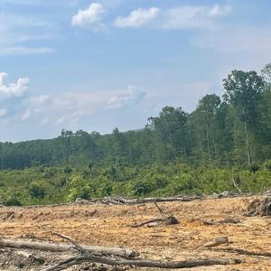 Photo #6 of PASSANTE SR LN, GORDONSVILLE, VA 111.6 acres