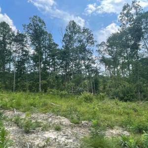 Photo #2 of PASSANTE SR LN, GORDONSVILLE, VA 111.6 acres