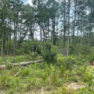 Photo #1 of PASSANTE SR LN, GORDONSVILLE, VA 111.6 acres