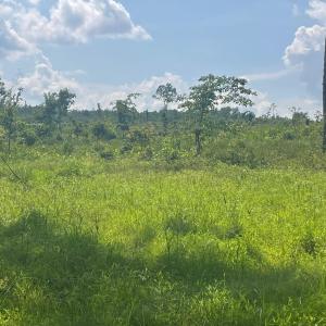 Photo #3 of PASSANTE SR LN, GORDONSVILLE, VA 111.6 acres