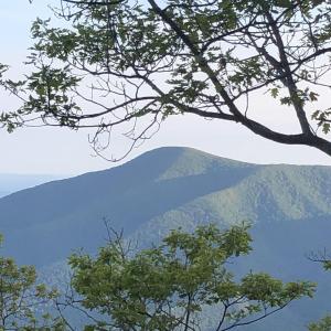 Photo #8 of 186 HEMLOCK DR, ROSELAND, VA 0.6 acres
