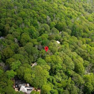 Photo #10 of 186 HEMLOCK DR, ROSELAND, VA 0.6 acres