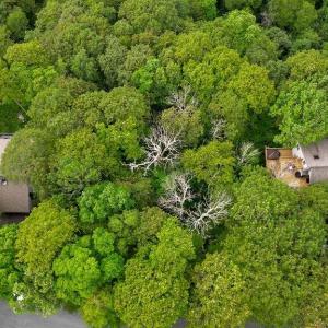 Photo #12 of 186 HEMLOCK DR, ROSELAND, VA 0.6 acres