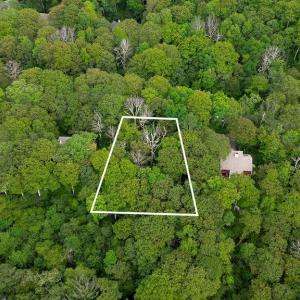 Photo #9 of 186 HEMLOCK DR, ROSELAND, VA 0.6 acres