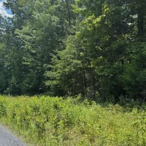 Photo #3 of TBD HUNTER RD, MAURERTOWN, VA 3.0 acres