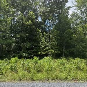 Photo #2 of TBD HUNTER RD, MAURERTOWN, VA 3.0 acres