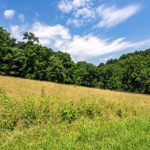 Photo #6 of TBD WILLIAMSBURG RD, LINVILLE, VA 10.0 acres
