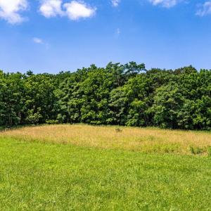 Photo #5 of TBD WILLIAMSBURG RD, LINVILLE, VA 10.0 acres