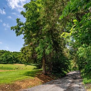 Photo #4 of TBD WILLIAMSBURG RD, LINVILLE, VA 10.0 acres