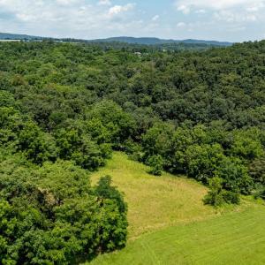 Photo #21 of TBD WILLIAMSBURG RD, LINVILLE, VA 10.0 acres