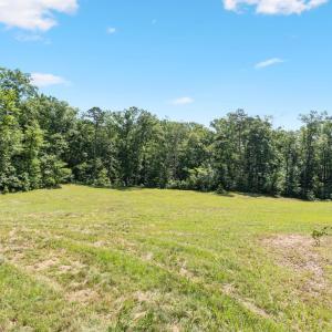 Photo #9 of Lot A PENNY LN, CHARLOTTESVILLE, VA 2.0 acres