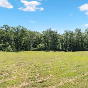 Photo #8 of Lot A PENNY LN, CHARLOTTESVILLE, VA 2.0 acres