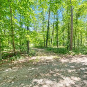 Photo #20 of Lot A PENNY LN, CHARLOTTESVILLE, VA 2.0 acres