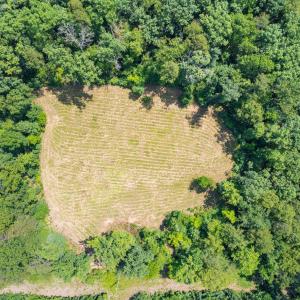 Photo #1 of Lot A PENNY LN, CHARLOTTESVILLE, VA 2.0 acres