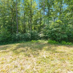 Photo #25 of Lot A PENNY LN, CHARLOTTESVILLE, VA 2.0 acres
